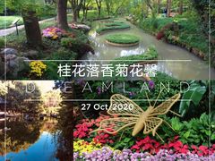 -汇龙潭