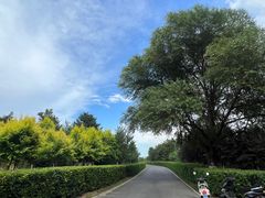 -红山国家森林公园
