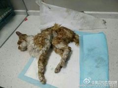 iphone_upload_pic-盛京一禾