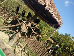 -上海动物园(地铁站)