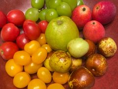 -同庆楼(滨湖万达广场店)