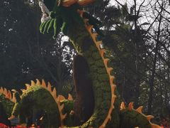 -南山植物园