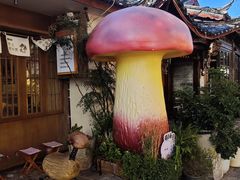 -菌自由丨野生菌火锅特色庭院餐厅(丽江古城店)