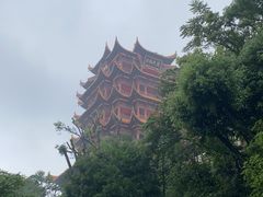 -黄鹤楼公园(黄鹤楼)