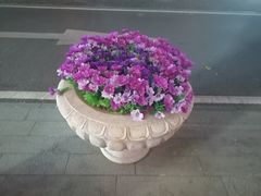 -方恒购物中心(望京小街店)