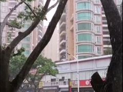 -万达广场(东莞厚街店)