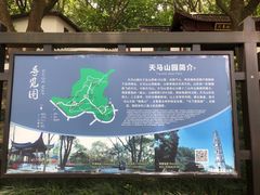 -上海佘山国家森林公园天马山园