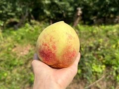 -北京金海湖景区