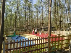 -合肥滨湖国家森林公园