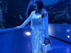 -迪拜水族馆及水下动物园