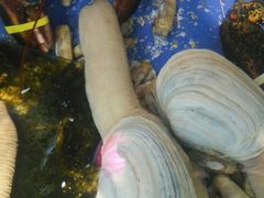 -山东八大碗山东老字号