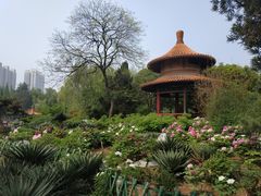-西苑公园
