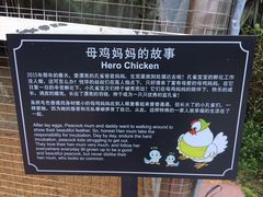 -厦门悦华酒店