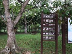 -红色娘子军纪念园