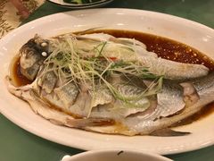 -中国饭店-餐厅