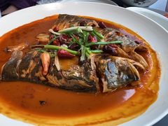 -鸽子侯·家宴·平价海鲜(市图书馆店)