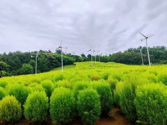 -沈阳植物园