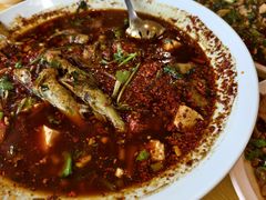 -胖大姐黄辣丁鱼庄(新津店)