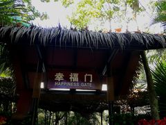 -呀诺达热带雨林