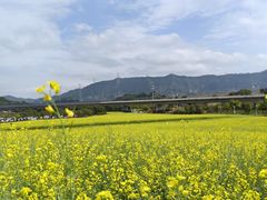 -光明小镇欢乐田园