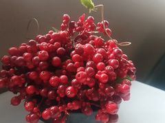 -苏浙汇(肇嘉浜路总店)