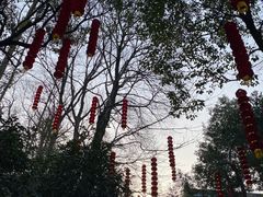 -杭州上天竺法喜讲寺