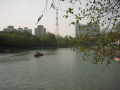 -莲湖公园