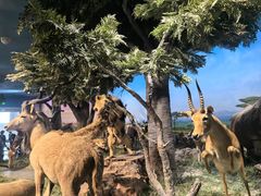 -国家自然博物馆