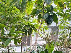 -北京植物园-展览温室