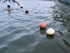 -碧海金沙