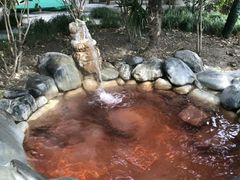 -张家港金凤凰度假村温泉