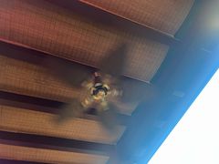 -亚龙湾红树林度假酒店-韩轩韩餐厅