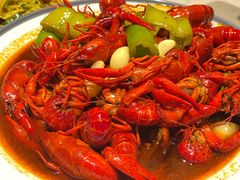 -杨氏青龙虾·羊蝎子(托乐嘉店)