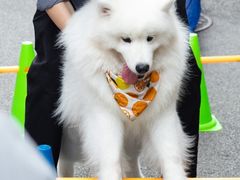 -百老汇美食街
