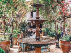 -The Grounds of Alexandria