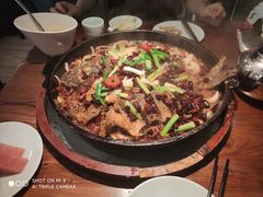 -老板恋上鱼(振华商厦店)