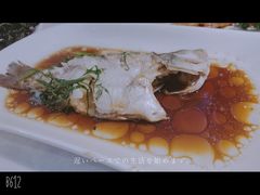 -云中小雅