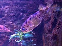 -梦幻海洋王国(吾悦广场张家港店)