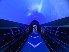 -佛山科学馆