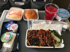 -新加坡航空公司(ION)