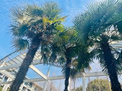 -南京工程学院(江宁校区)