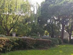 -上海中医药大学附属曙光医院(东部)