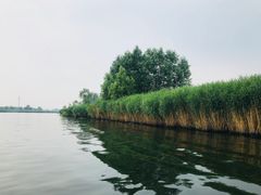 -白洋淀景区