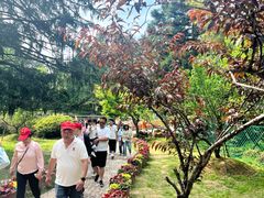 -庐山风景区花径公园