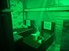 -失落之城密室逃脱沉浸剧场(江北龙湖星火路店)