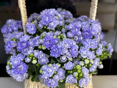 -豆豆花艺(新光天地店)