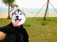 -碧桂园十里银滩