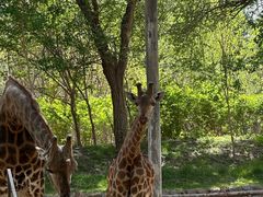 -北京野生动物园