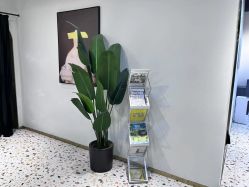 -A梦造型
