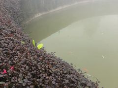 -永泰中国云顶